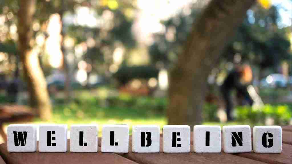Employee wellbeing strategy
