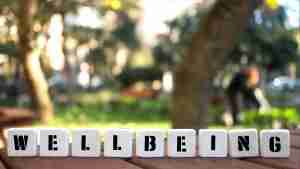 Employee wellbeing strategy